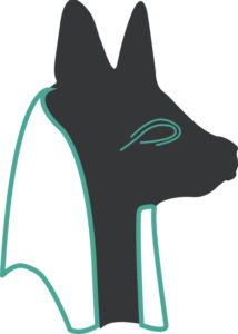 anubis consent service aux entreprises conseil formation interim management coaching